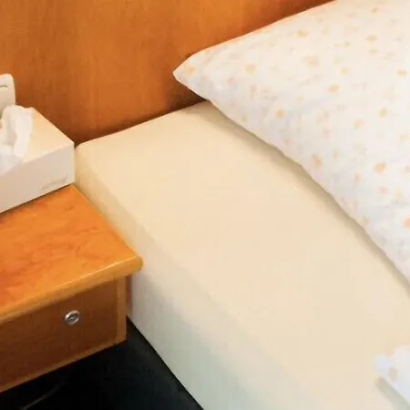 Hotel Stadt Steinbach 3*